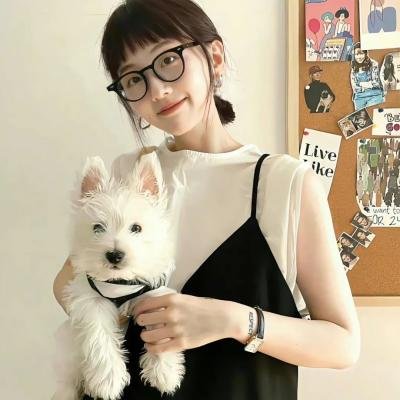 南北大状